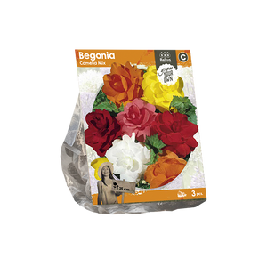 Begonia Camelia Mix (SP) per 3 - BP222040