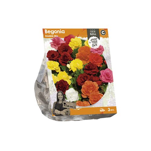 Begonia Double Mix (SP) per 3 - BP222050