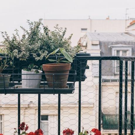 Come Dare il Meglio di Te in Cucina con le Piante Aromatiche da Balcone