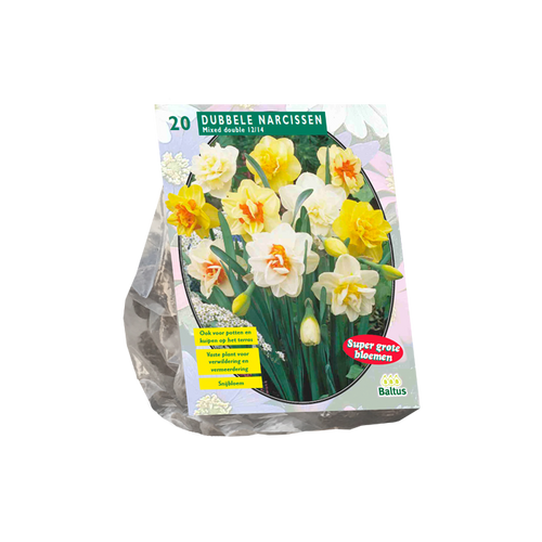 Narcis Dubbel Mix per 20 - BA301180