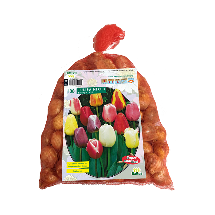 Tulipa Darwin Mix. in gaasbaal 12/+ per 100 - BA302590