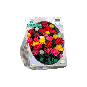 Tulipa Dubbel Mix per 25 - BA302150