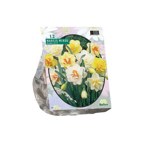 Narcis Dubbel Mix per 12 - BA302700