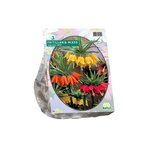 Fritillaria Imperialis Mixed per 3 - BA300670