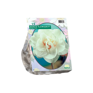 Narcis Flower Drift per 15 - BA301190