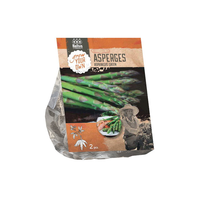 Asparagus Groen per 2 - BP225190