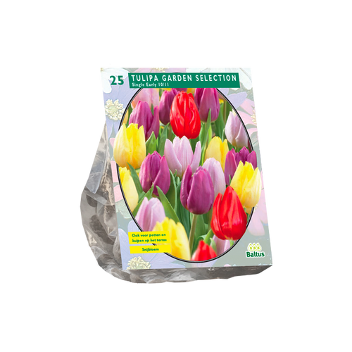 Tulipa Garden Selection per 25 - BA301836