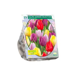 Tulipa Garden Selection per 25 - BA301836