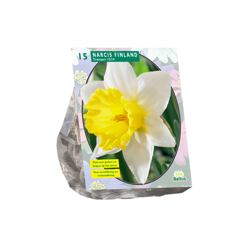 Narcis Finland per 15 - BA301225