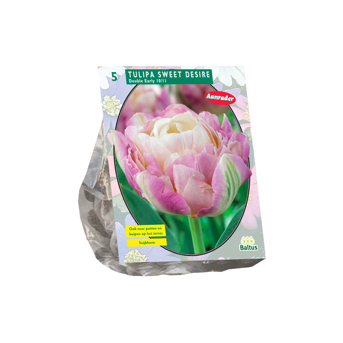 Tulipa Sweet Desire per 5 - BA301985