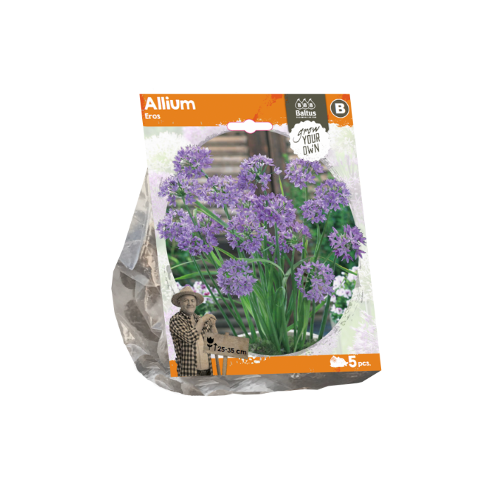Allium Eros (Sp) per 5 - BA324050