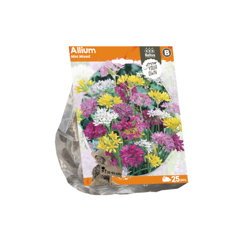 Allium Mini Mixed (Sp) per 25 - BA324130