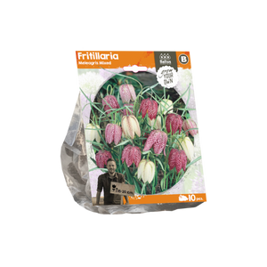 Fritillaria Meleagris Mixed (Sp) per 10 - BA324420