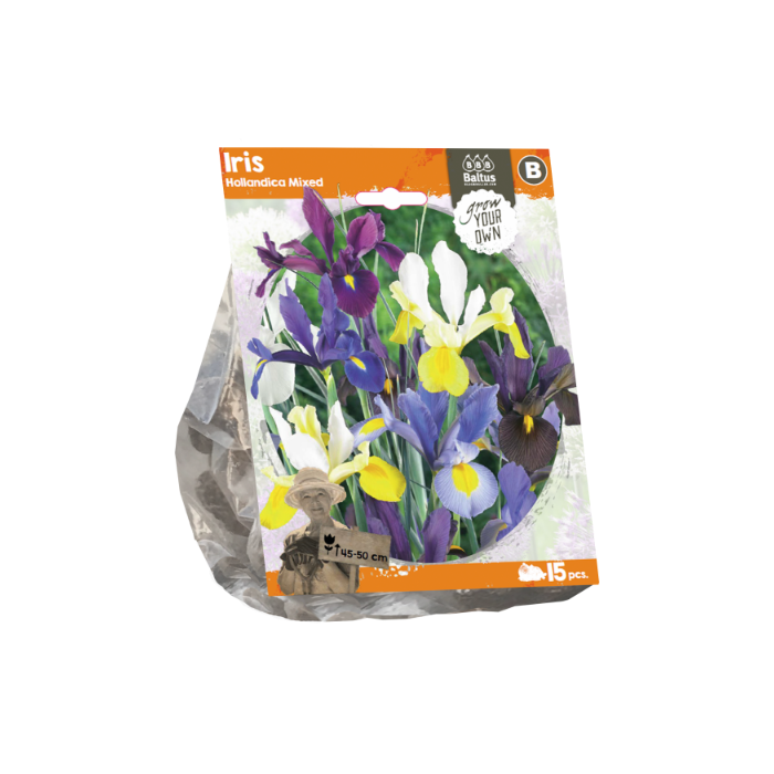 Iris Hollandica Mixed (Sp) per 15 - BA324490