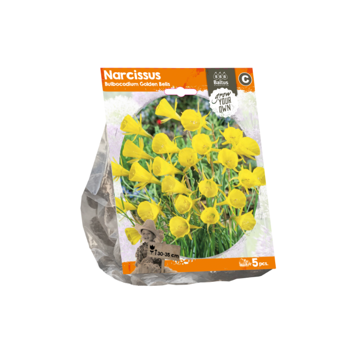 Narcissus Bulbocodium Golden Bells (Sp) per 5 - BA324610