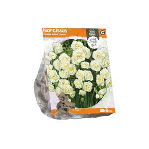 Narcissus Double Bridal Crown (Sp) per 8 - BA324670