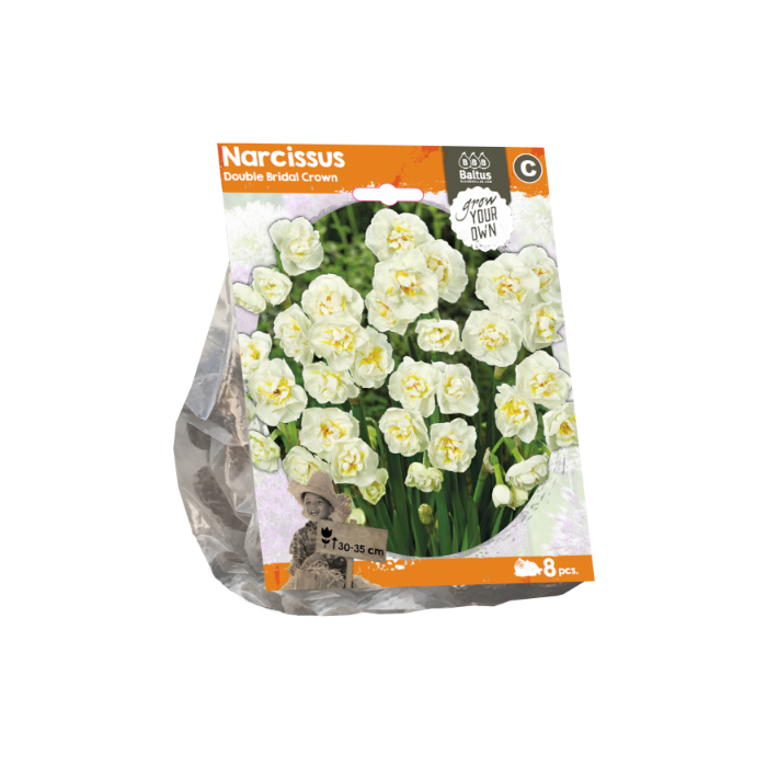 Narcissus Double Bridal Crown (Sp) per 8 - BA324670