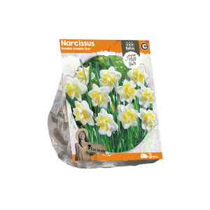 Narcissus Double Double Star (Sp) per 3 - BA324680