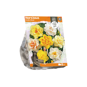 Narcissus Double Mixed (Sp) per 8 - BA324700