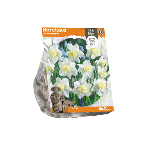 Narcissus Double Popeye (Sp) per 3 - BA324710