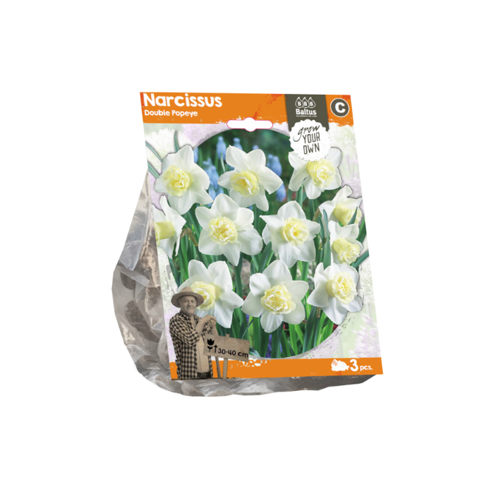 Narcissus Double Popeye (Sp) per 3 - BA324710