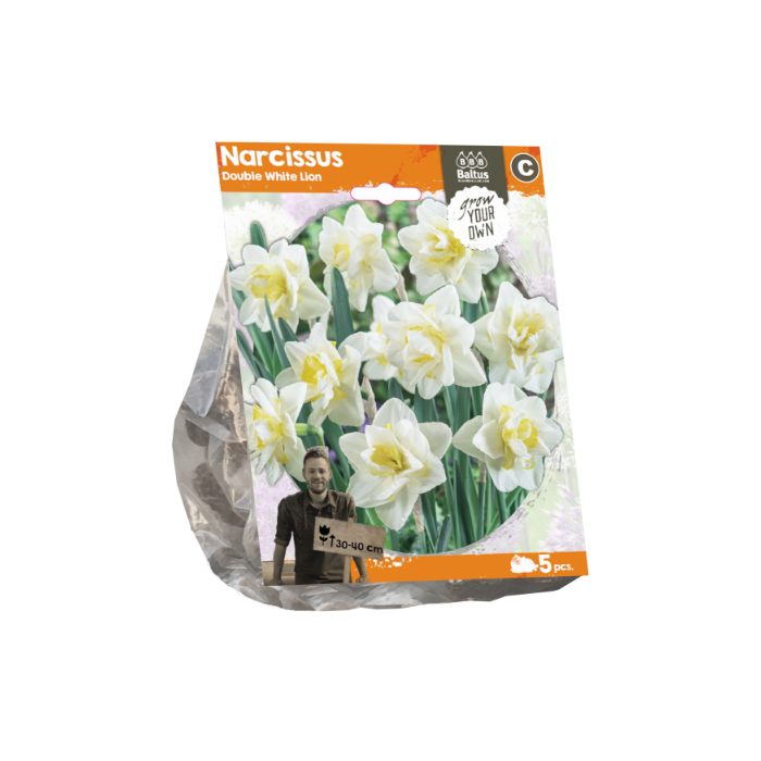 Narcissus Double White Lion (Sp) per 5 - BA324750