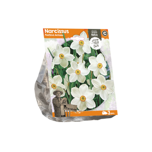 Narcissus Poeticus Actaea (Sp) per 3 - BA324830