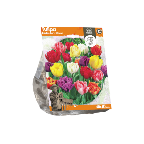 Tulipa Double Early Mixed (Sp) per 10 - BA325170