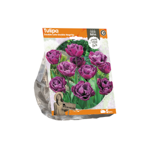 Tulipa Double Late Double Negrita (Sp) per 5 - BA325200