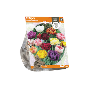 Tulipa Double Late Mixed (Sp) per 10 - BA325250