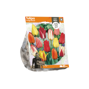 Tulipa Greigii Mixed (Sp) per 10 - BA325280