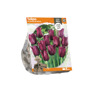 Tulipa Lily Flowered Merlot (Sp) per 5 - BA325310