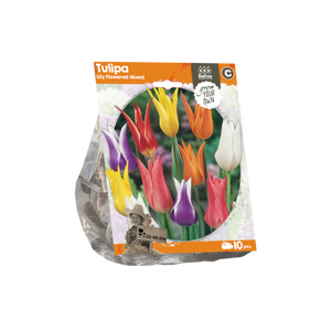 Tulipa Lily Flowered Mixed (Sp) per 10 - BA325320