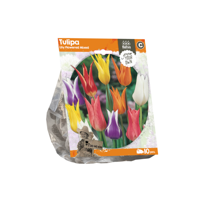 Tulipa Lily Flowered Mixed (Sp) per 10 - BA325320