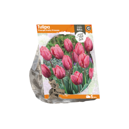 Tulipa Triumph Pretty Princess (Sp) per 5 - BA325510
