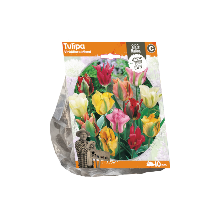 Tulipa Viridiflora Mixed (Sp) per 10 - BA325610