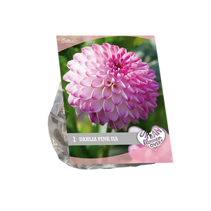 Urban Flowers - Pink Isa per 1 - BP207190
