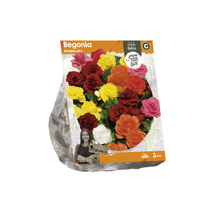 Begonia Double Mix (SP) per 3 - BP222050