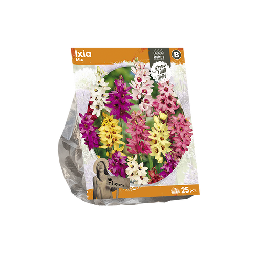 Ixia Mix (SP) per 25 - BP222340