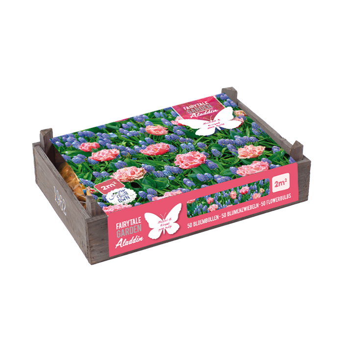Flower Crate Aladdin - BA330610