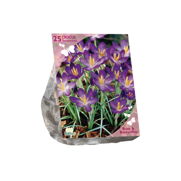 Bees & Butterflies - Crocus Tommasinianus per 25 - BA303230