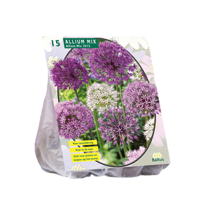 Allium Mix Paars-Wit per 15 - BA300166