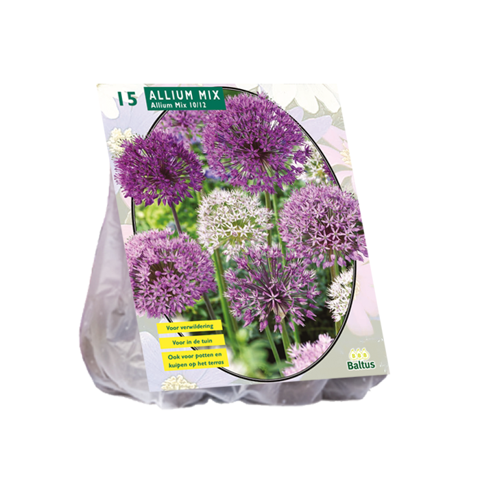 Allium Mix Paars-Wit per 15 - BA300166
