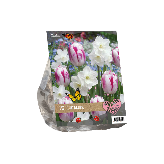 Urban Flowers - Ice blush per 15 - BA306020
