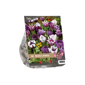 Urban Flowers - Proud & Purple per 18 - BA306090