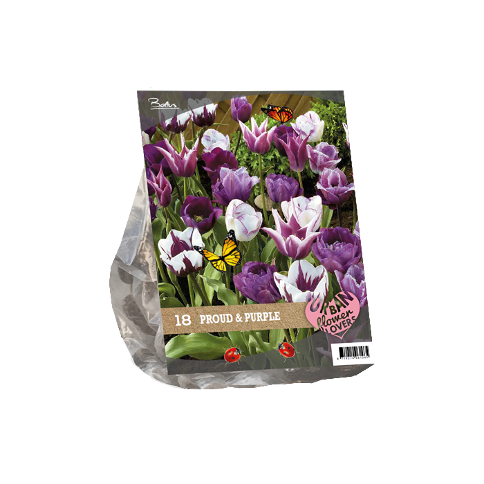 Urban Flowers - Proud & Purple per 18 - BA306090