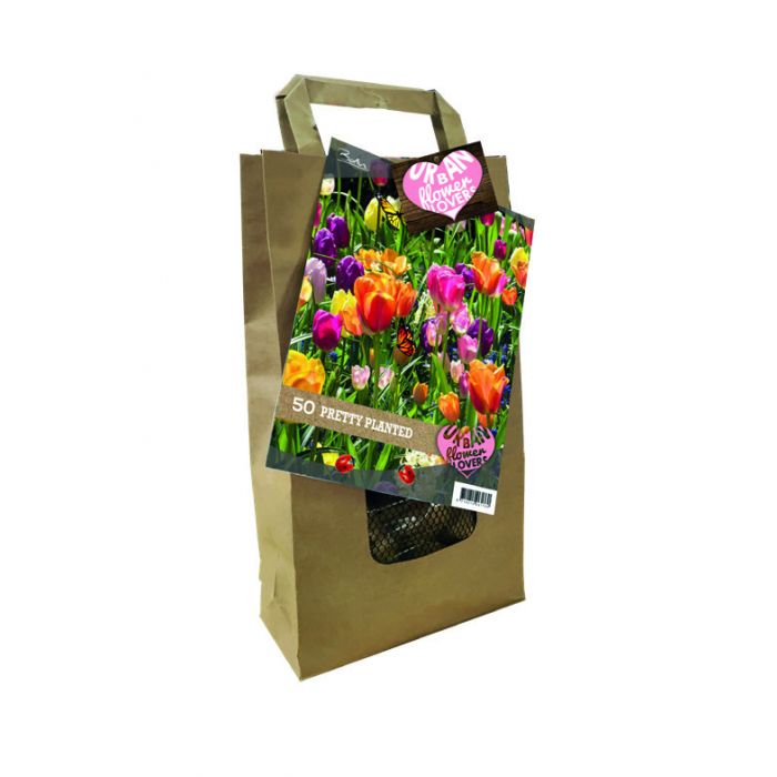 Urban Flower Lovers - Pretty Planted per 50 - BA325710