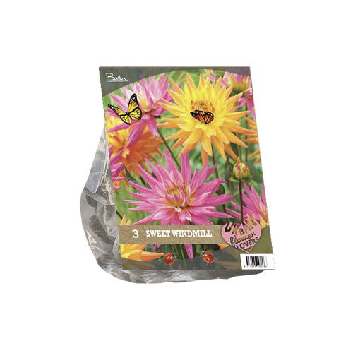 Urban Flowers - Sweet Windmill per 3 - BP207020