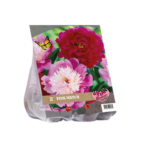 Urban Flowers - Pink Match per 2 - BP207090