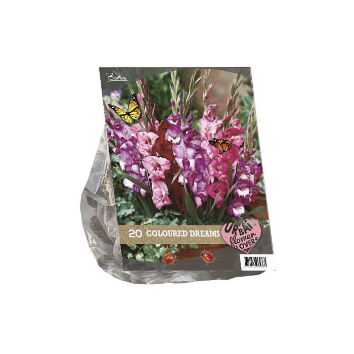 Urban Flowers - Coloured Dreams per 20 - BP207100